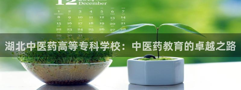 九游会官网页登录