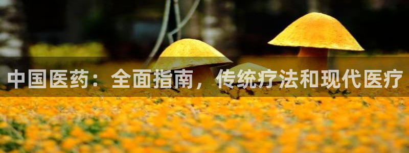 j9九游会最新官网