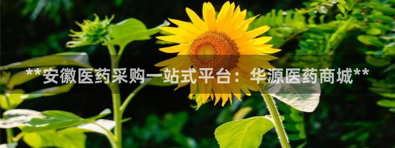 九游会官方网站中心