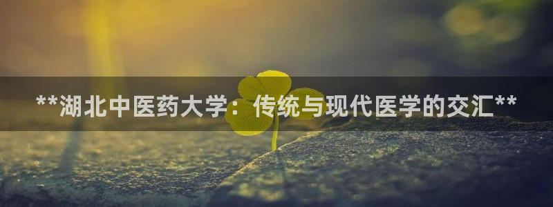J9九游会国际站