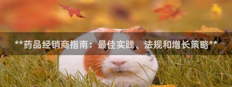 九游会网址登录不上