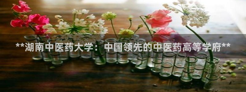 九游会集团首页