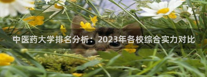 九游会官网入口