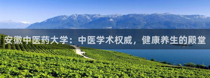 九游会老哥俱乐部官网