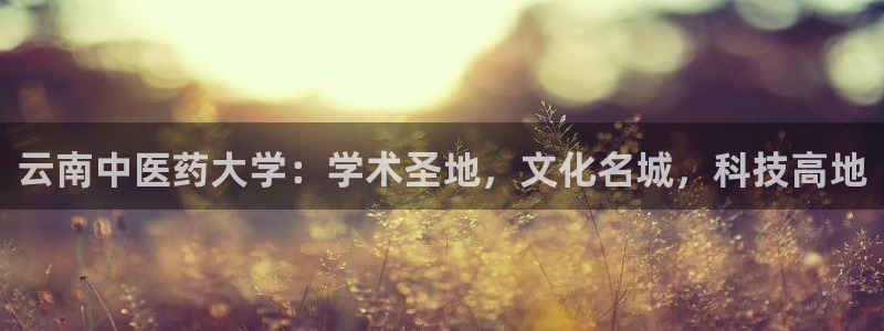 j9九游会平台