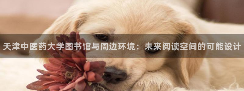 九游会官方网