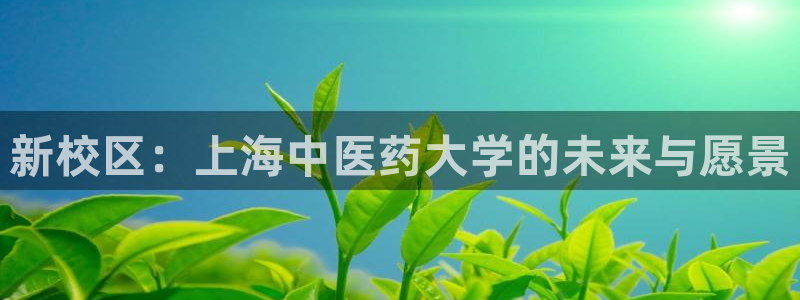 j9九游会登录入口首页