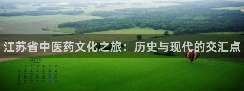九游会网址登录不上