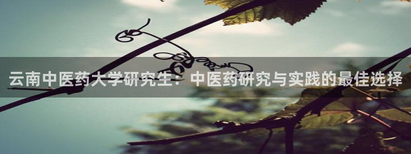 j9九游会入口j9
