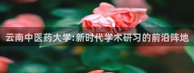 九游会集团菲律宾