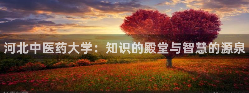 九游会官网下载最新版