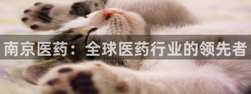 九游会agj9