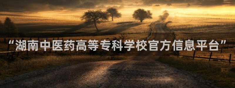 ag老玩家