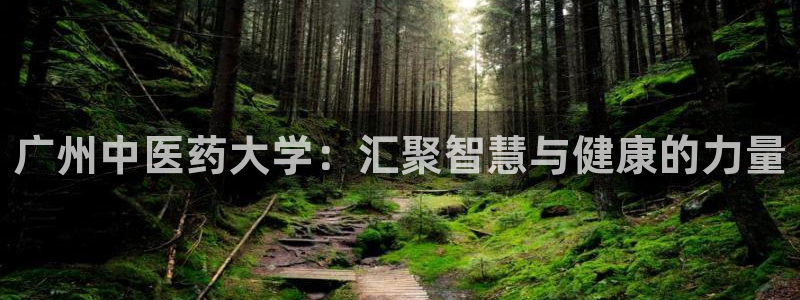 九游会集团货币