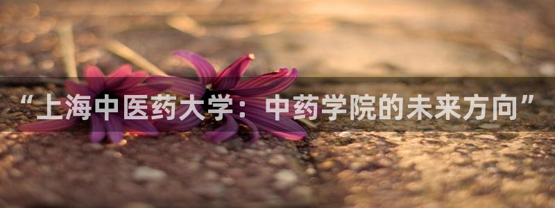 J9九游会官网app
