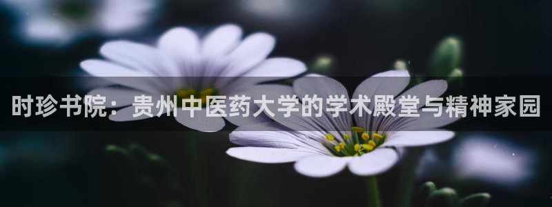 j92019九游会
