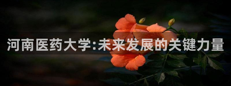 九游会亚洲登录