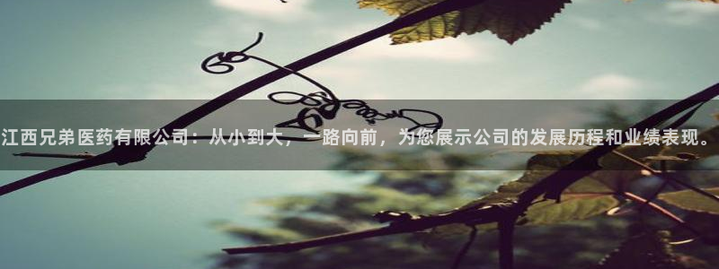 9游会ag