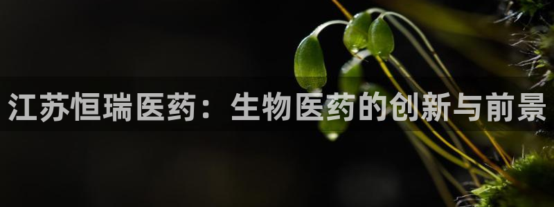 九游会注册网址