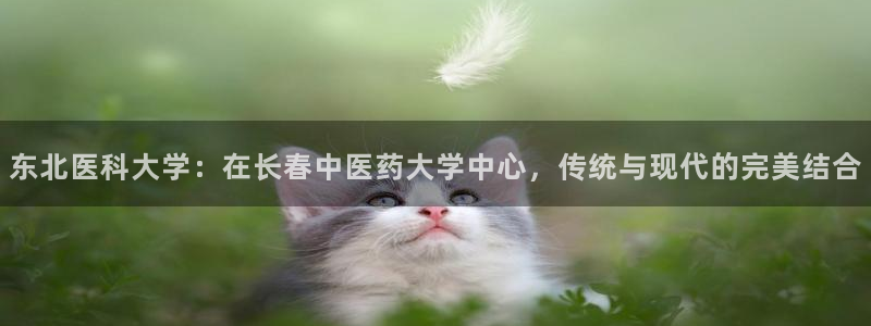 九游会国际厅有限责任公司