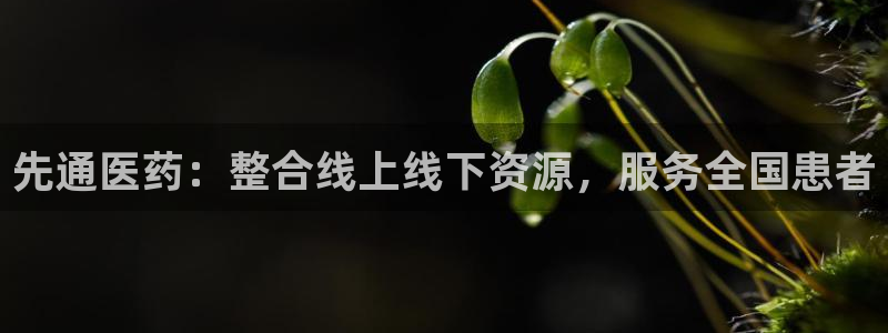 九游会是一个什么网站