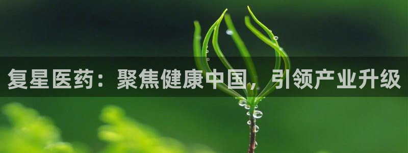 九游会ag官方平台