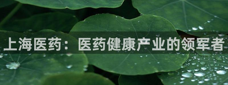 九游会个人中心登录页面